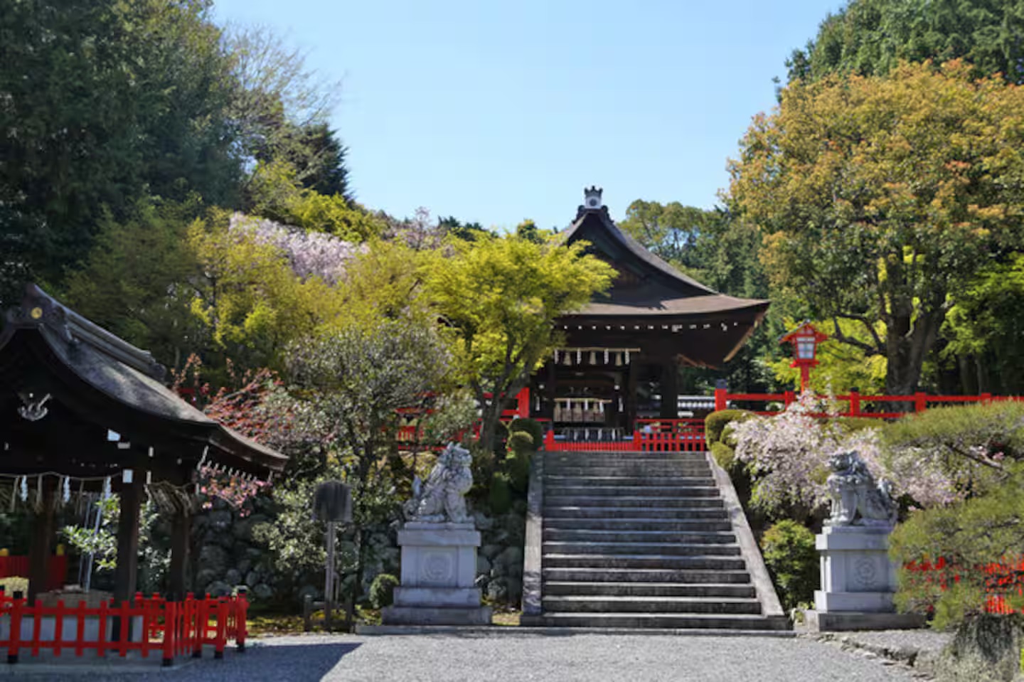 Steps and trees on the path to Kenkun Shrine, Funaokayama, Kyoto