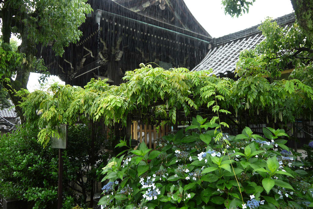 A rainy street in Nishijin with soft grey light